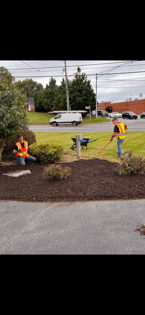 Two workers in orange safety vests landscaping a mulch bed with shrubs along a roadside, with a white van and commercial buildings in background