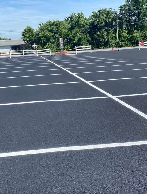 Empty parking lot with white line markings, white fence, and green trees in background under clear blue sky