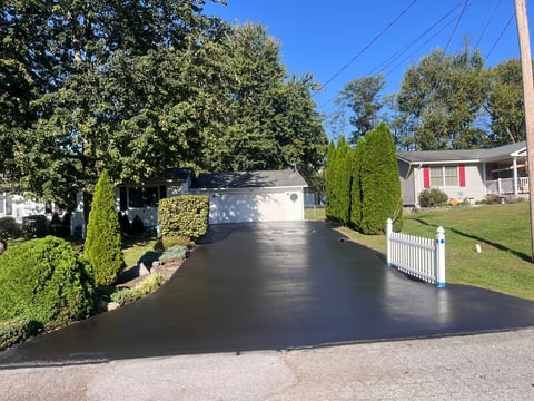 A residential driveway with black asphalt coating, flanked by green shrubs and trees, leading to a house with a white garage door on a sunny day