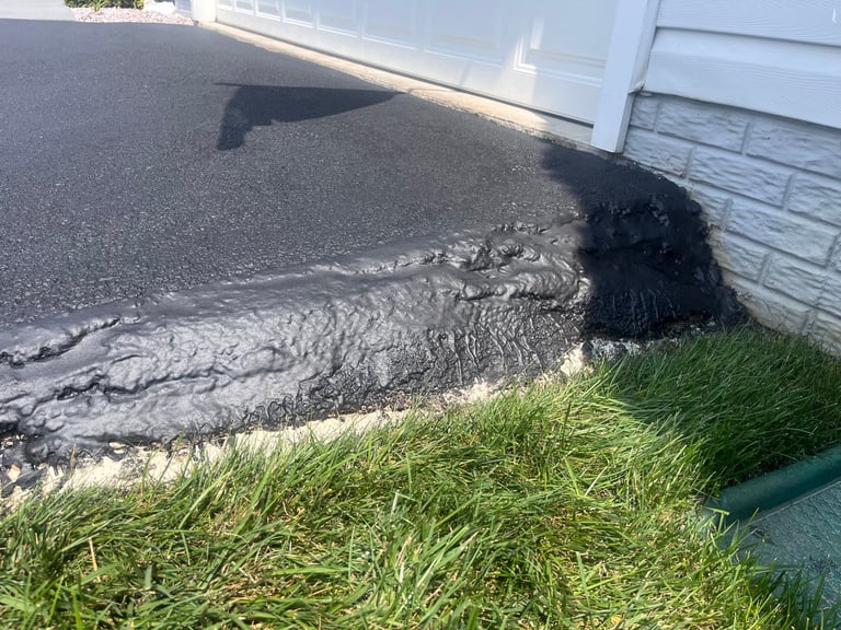 Alligator resting on asphalt driveway near white garage and green grass