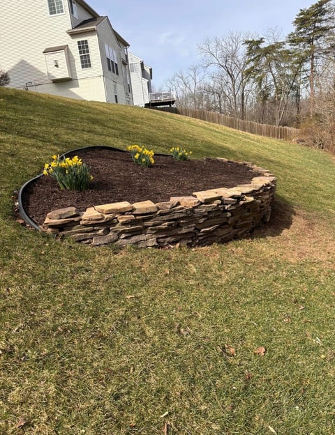 A curved raised garden bed with stone edging and yellow spring flowers sits on a grassy slope in front of a white house with bare trees in background